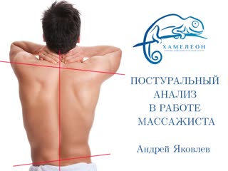 postural analysis in the work of a massage therapist. andrey yakovlev