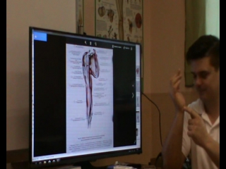 anatomy and biomechanics of the shoulder girdle. ivan desyatskikh day 2 h 1
