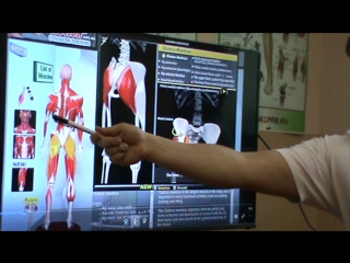 anatomy and biomechanics of the pelvis and hip region. day 3 part 1.