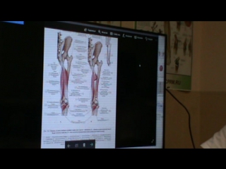 anatomy and biomechanics of the pelvis and hip region. day 3 part 8