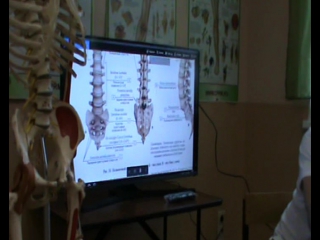 anatomy and biomechanics of the pelvis and hip region. day 1 part 1.