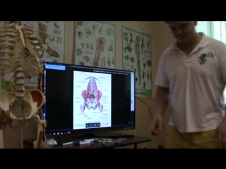 anatomy and biomechanics of the pelvis and hip region. day 4 part 5