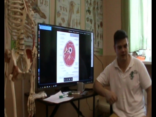 anatomy and biomechanics of the pelvis and hip region. day 4 part 3