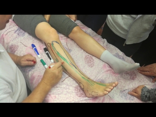 anatomy and biomechanics of the foot. day 3 h 2