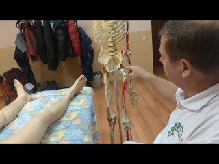 biomechanical approach to massage part 13