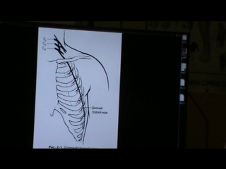 anatomy and biomechanics of the shoulder girdle. ivan desyatskikh day 3 h 5