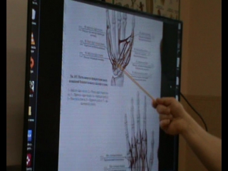anatomy and biomechanics of the shoulder girdle. ivan desyatskikh day 3 h 2