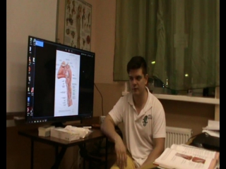 anatomy and biomechanics of the shoulder girdle. ivan desyatskikh day 3 h 9