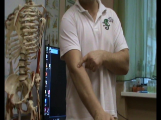 anatomy and biomechanics of the shoulder girdle. ivan desyatskikh day 4 h 5