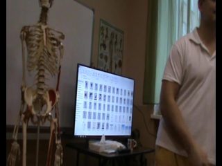 anatomy and biomechanics of the shoulder girdle. ivan desyatskikh day 4 h 2
