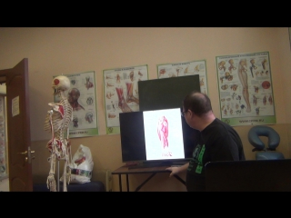 anatomy and biomechanics of the shoulder girdle part 22