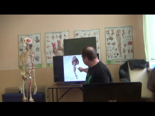 anatomy and biomechanics of the shoulder girdle part 18