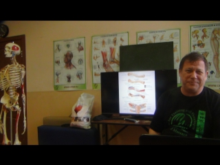 anatomy and biomechanics of the shoulder girdle part 9