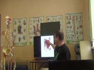 anatomy and biomechanics of the shoulder girdle part 10