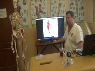 anatomy and biomechanics of the pelvis and hips. h 18