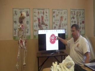 anatomy and biomechanics of the pelvis and hips. h 14