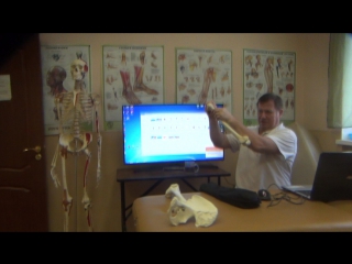 anatomy and biomechanics of the pelvis and hips. h 8