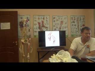 anatomy and biomechanics of the pelvis and hips. h 13.