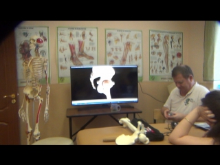 anatomy and biomechanics of the pelvis and hips. h 11.