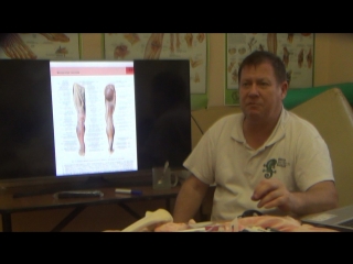 anatomy and biomechanics of the pelvis and hips. h 6.