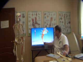 anatomy and biomechanics of the pelvis and hips. h2