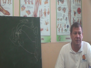 reflex and connective tissue approach in massage. course story. part 2