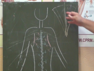 anatomy and biomechanics. preparation for shilin's course. zan 2 part 1