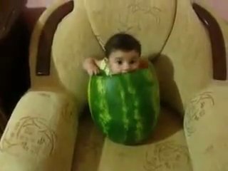 nohchoo k1ant loves watermelon